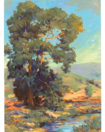 Afternoon At Clear Creek