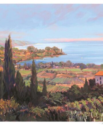 Coastal Vineyard